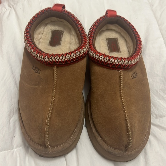 Tazz - chestnut great condition. - Picture 2 of 2